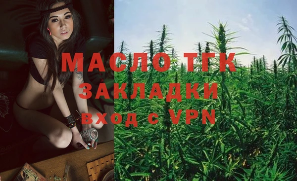ПСИЛОЦИБИНОВЫЕ ГРИБЫ Вяземский