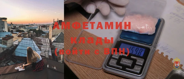 ПСИЛОЦИБИНОВЫЕ ГРИБЫ Вяземский