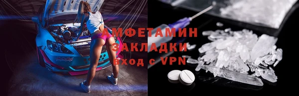 ПСИЛОЦИБИНОВЫЕ ГРИБЫ Вяземский