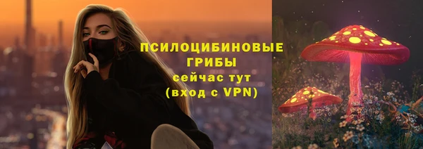 ПСИЛОЦИБИНОВЫЕ ГРИБЫ Вяземский