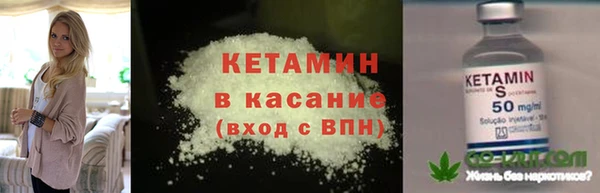 ПСИЛОЦИБИНОВЫЕ ГРИБЫ Вяземский