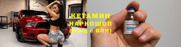 ПСИЛОЦИБИНОВЫЕ ГРИБЫ Вяземский