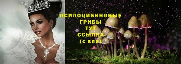 ПСИЛОЦИБИНОВЫЕ ГРИБЫ Вяземский