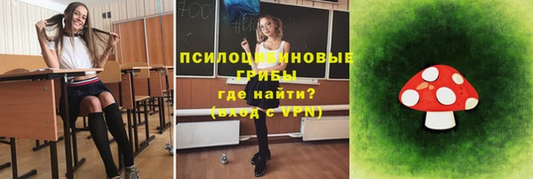 ПСИЛОЦИБИНОВЫЕ ГРИБЫ Вяземский