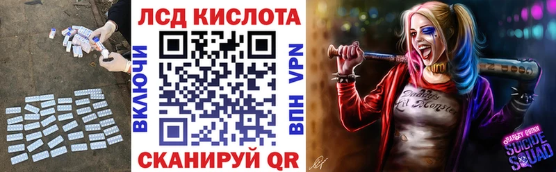 купить наркотик  Починок  blacksprut tor  ЛСД экстази кислота 